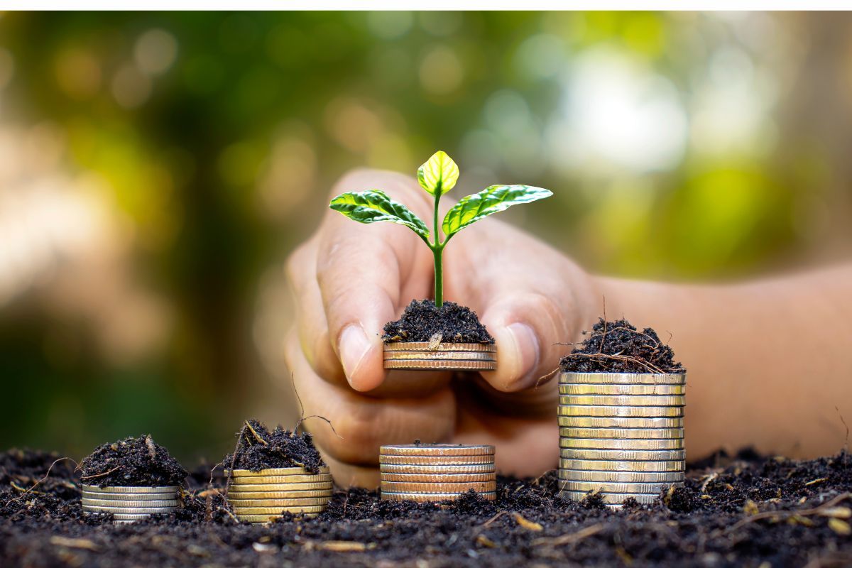 ¿Por qué es importante enseñar finanzas desde temprana edad? ¿Por qué es importante enseñar finanzas desde temprana edad?
