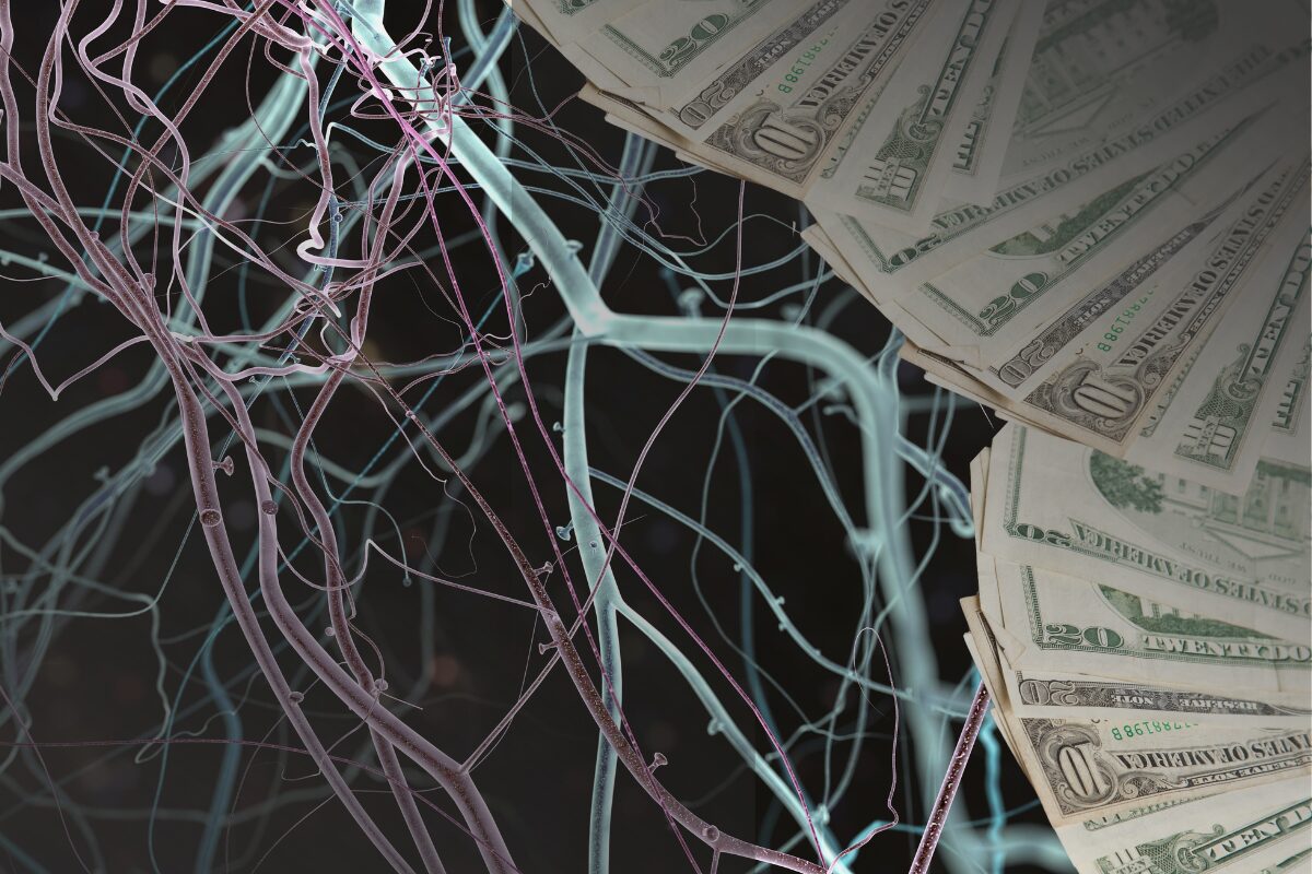 Neuroeconom&iacute;a